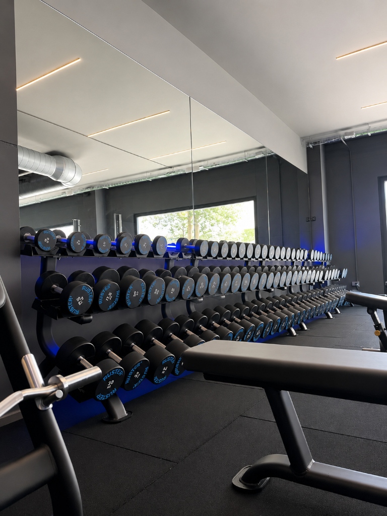 Premium BEAST dumbbells rack with neon blue underglow